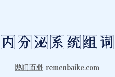 内分泌系统组词是什么意思的图片